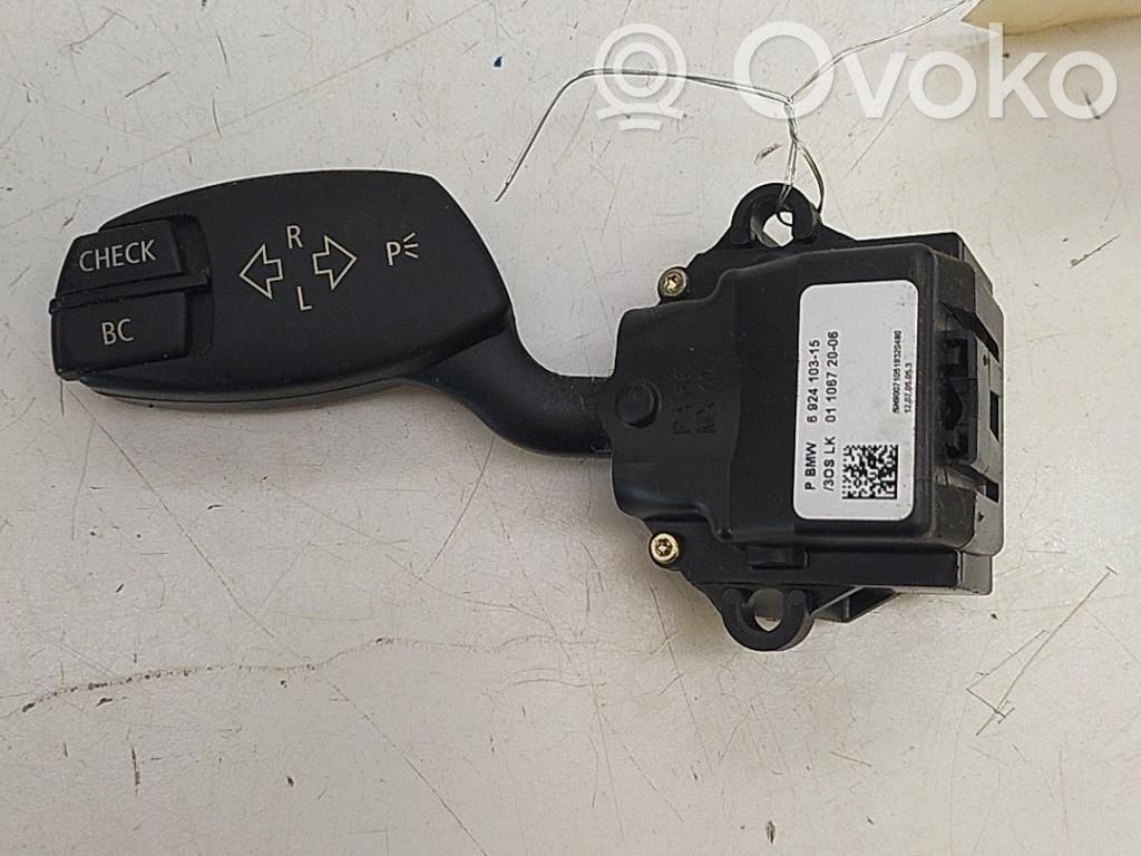 Indicator stalk   61316924103