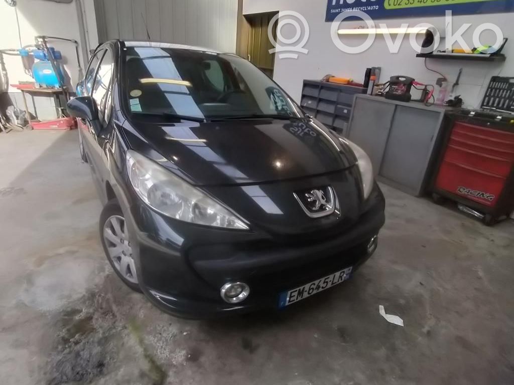 Peugeot 207 BSM Control unit 