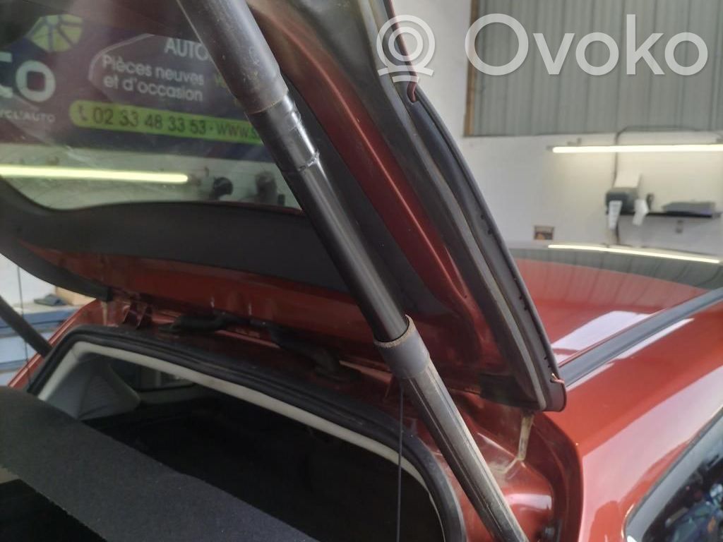 Ford C-MAX II Tailgate/trunk strut/damper 