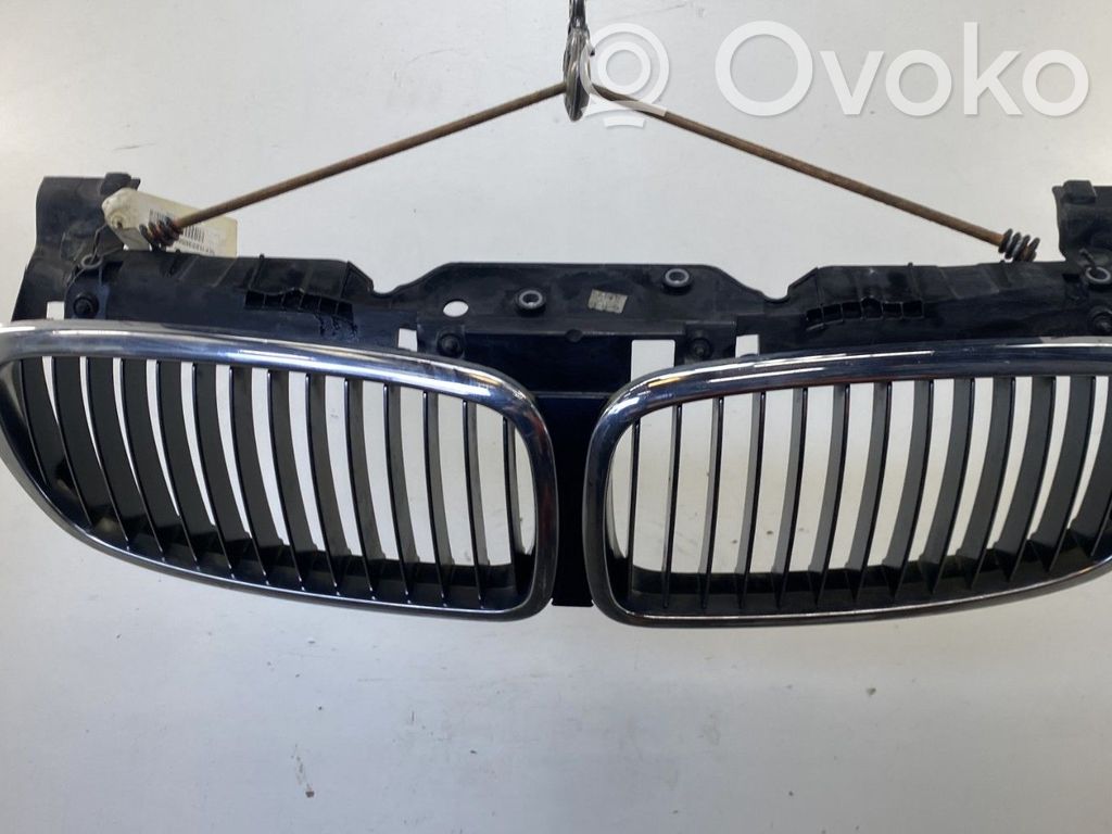 BMW 7 E65 E66 Front grill 