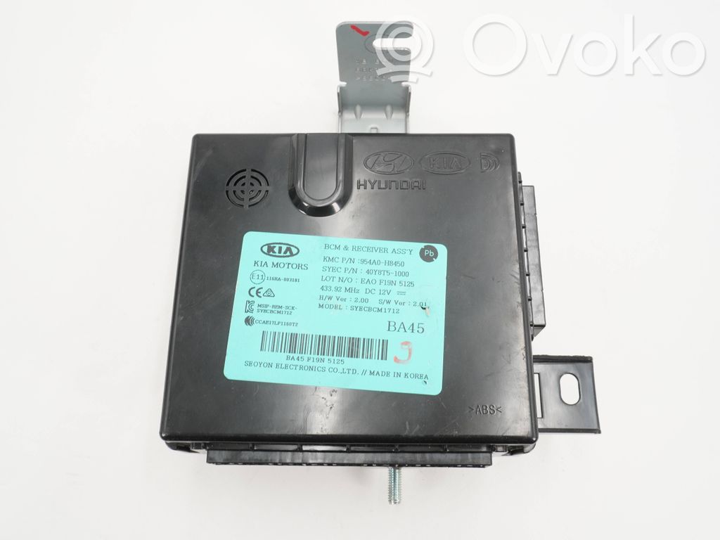 KIA Rio Other control units/modules 