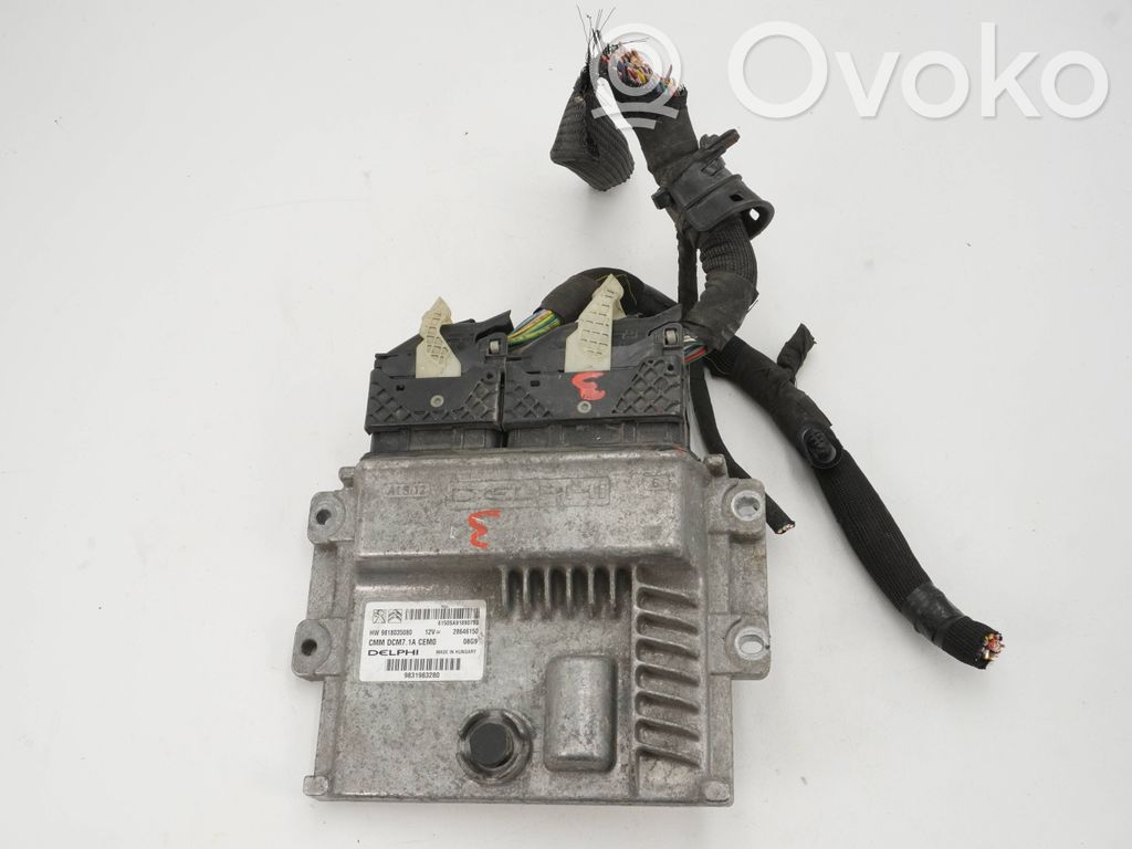 Engine control unit/module   9831983280,9818035080