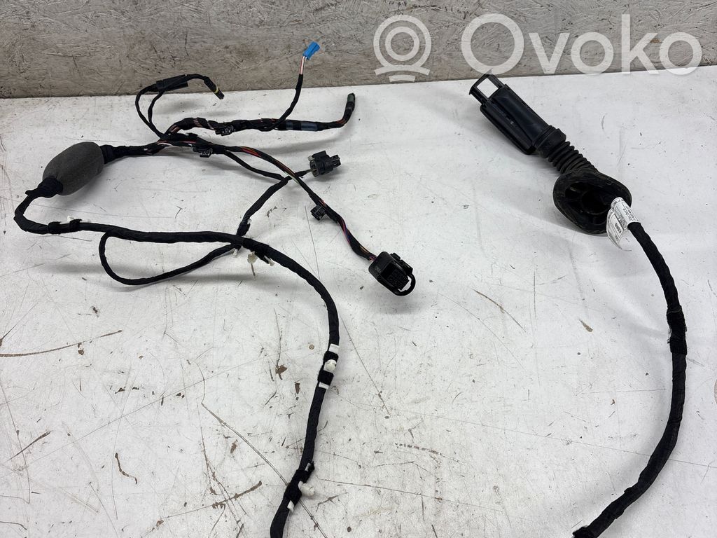 BMW X3 G01 Cableado de puerta trasera 