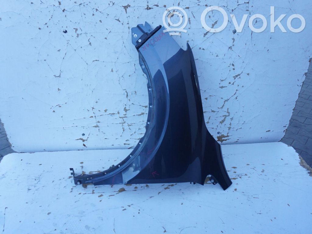 Renault Kadjar Fender 