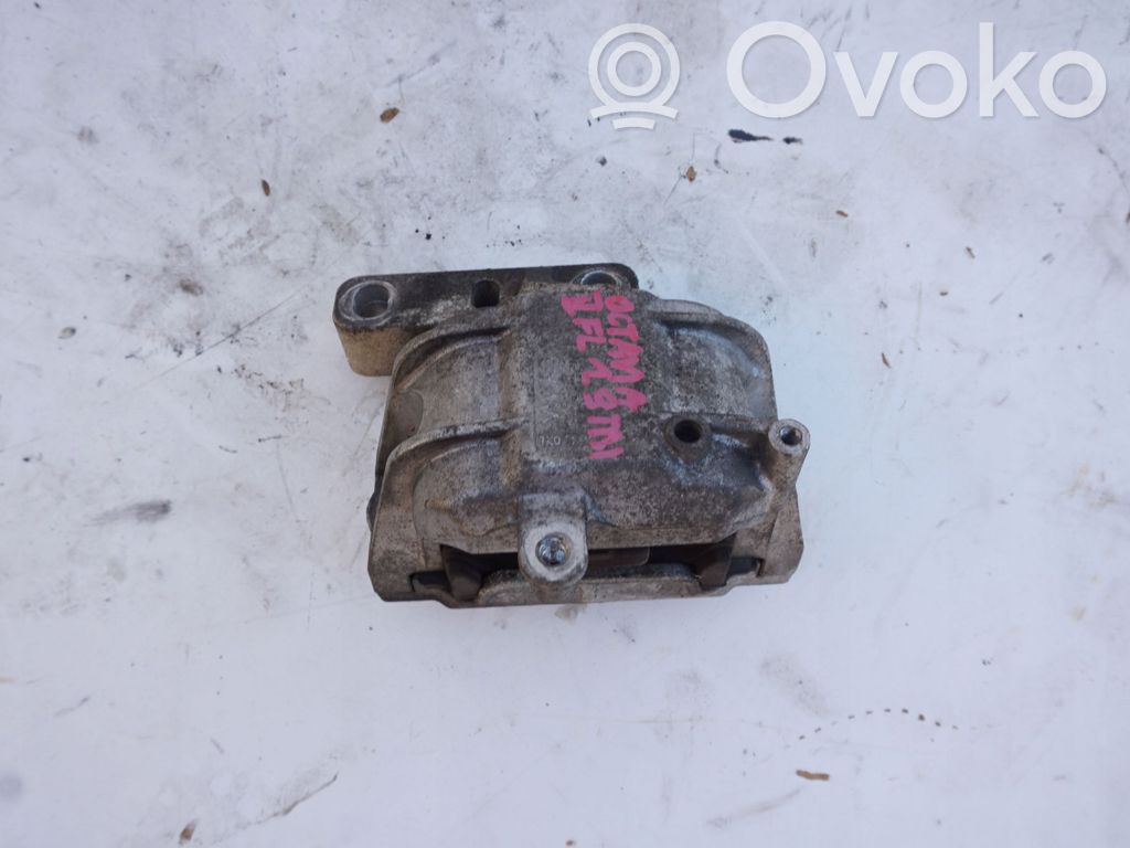 Skoda Octavia Mk2 (1Z) Engine cover (trim) 