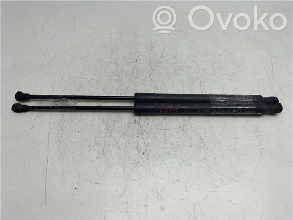 Citroen C3 Tailgate/trunk/boot lid buffer 
