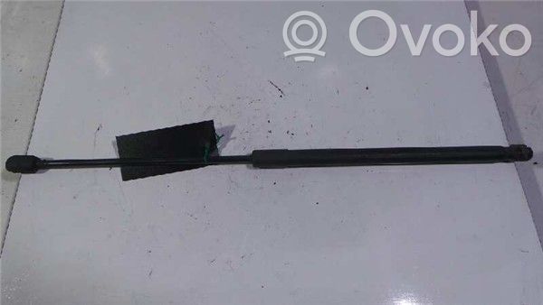 Opel Astra H Amortiguador/puntal del capó/tapa delantero 