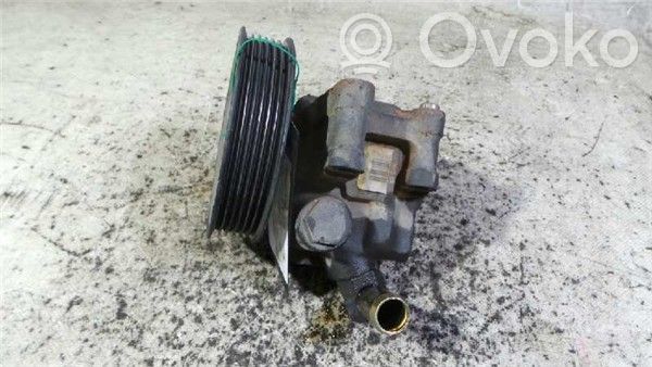 Ford Fiesta Servopumpe 