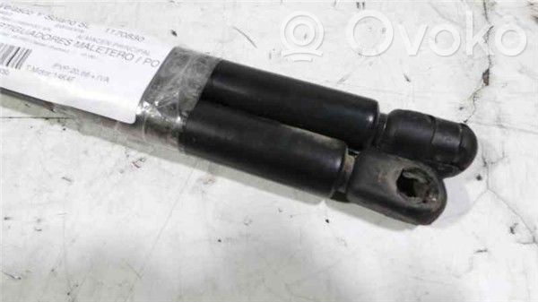 Tailgate/trunk/boot lid buffer   14K4F