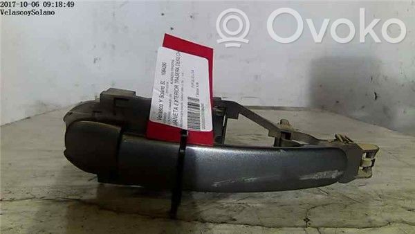 Volkswagen PASSAT B5.5 Rear door exterior handle 