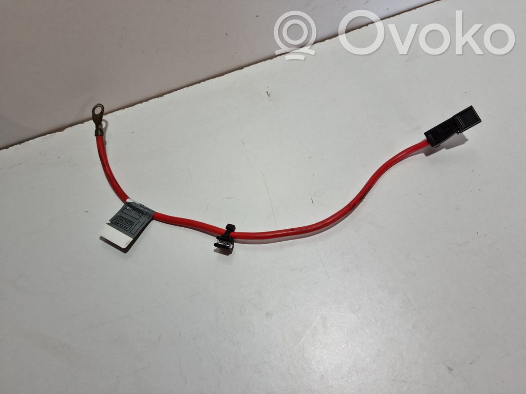 Câble de batterie positif   692971505