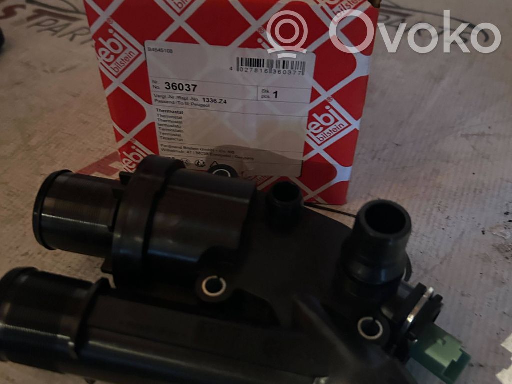 Termostato   1336Z4,9657182080