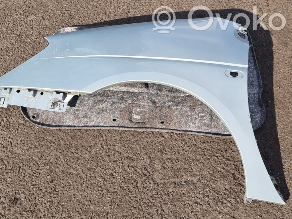 Renault Scenic I Guardabarro 