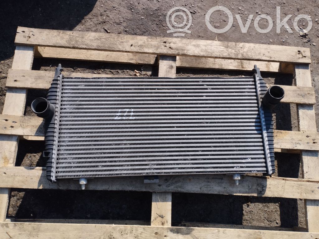 Peugeot 607 Intercooler radiator 