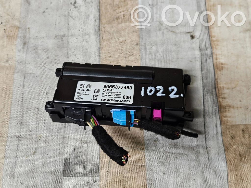 Citroen C5 Bluetooth modulis 