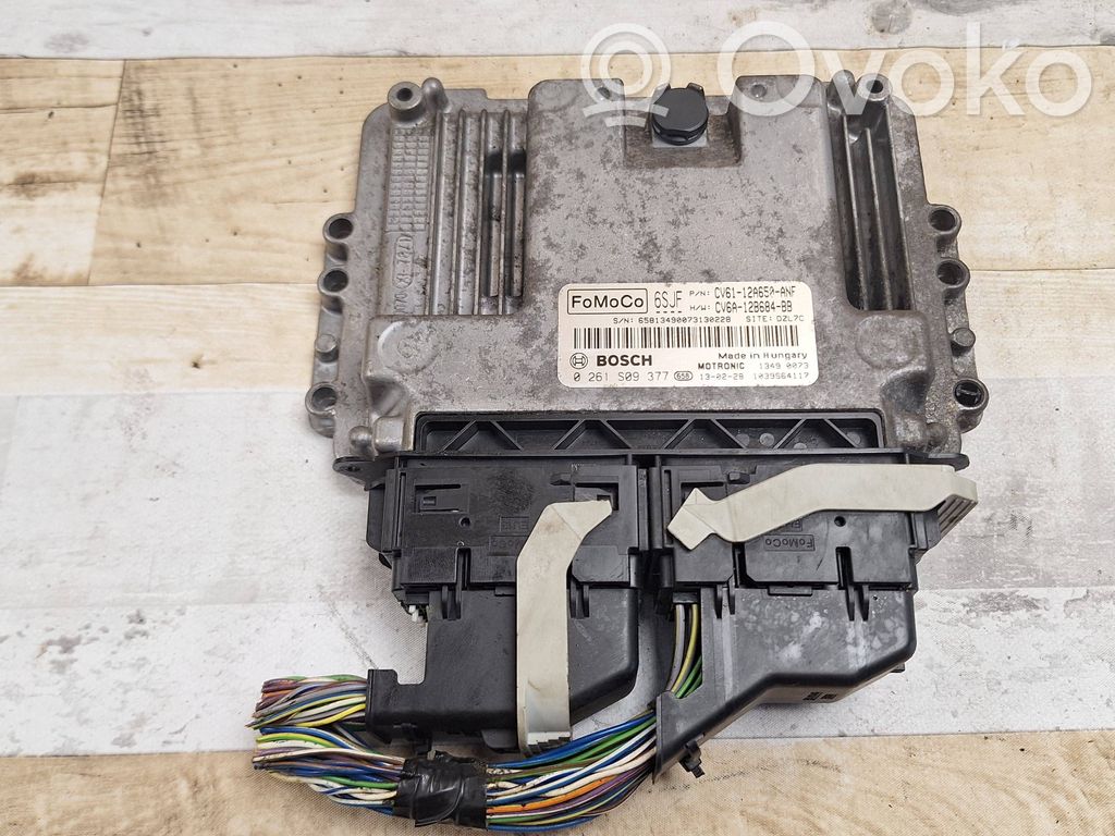 Ford Focus Engine control unit/module 