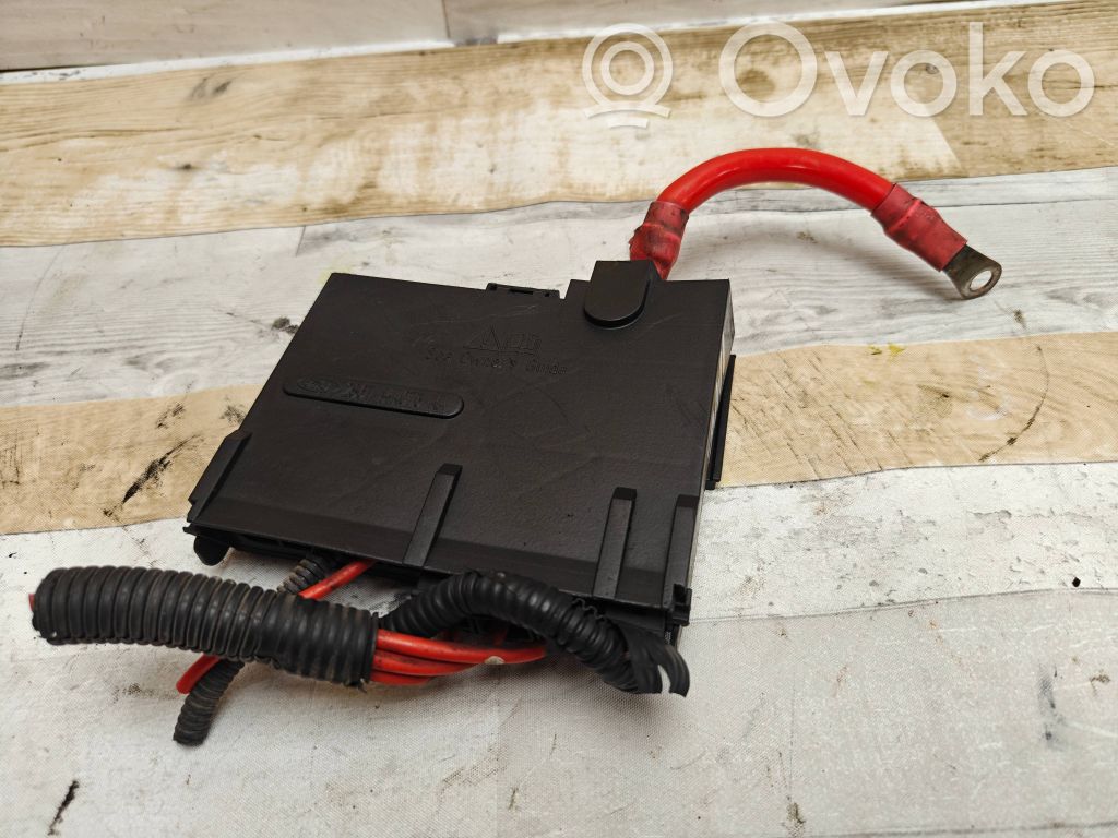 Ford Fiesta Positive wiring loom 