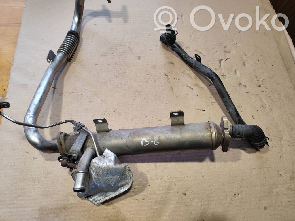 Volkswagen PASSAT B6 Valvola di raffreddamento EGR 