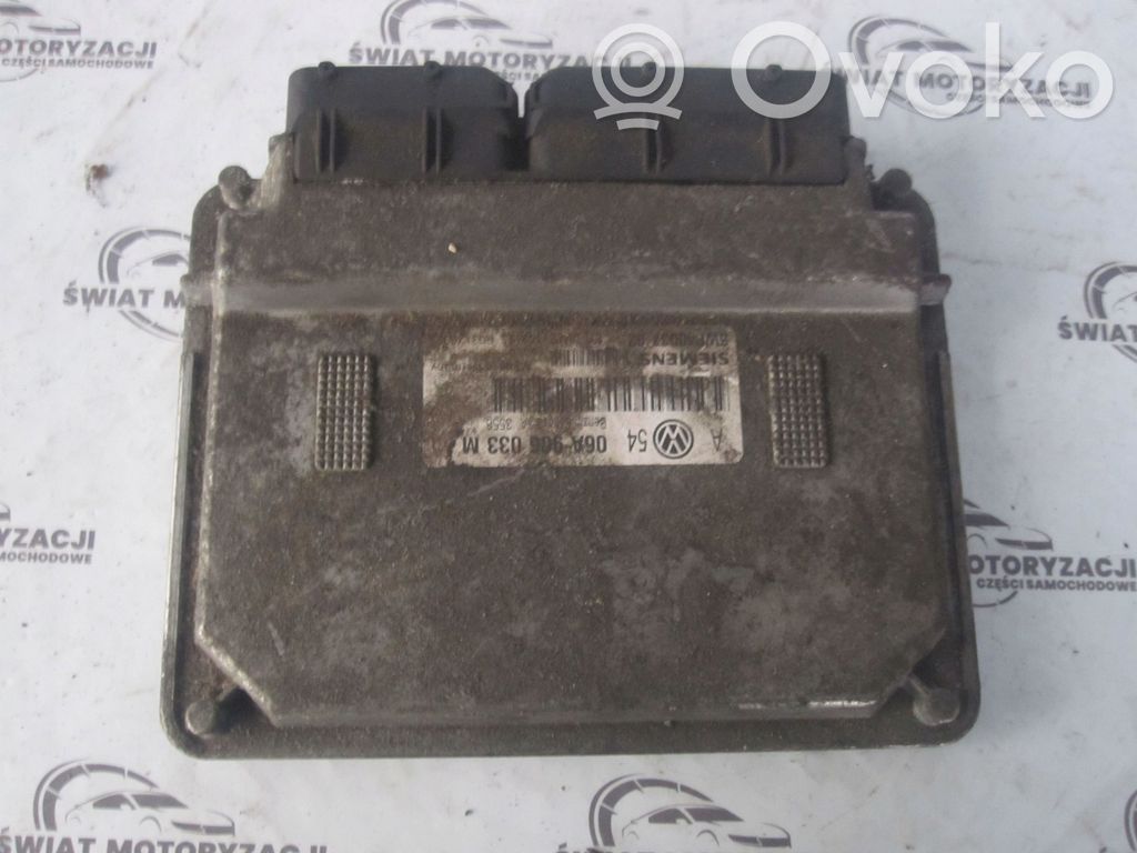 Volkswagen Golf IV Engine control unit/module 