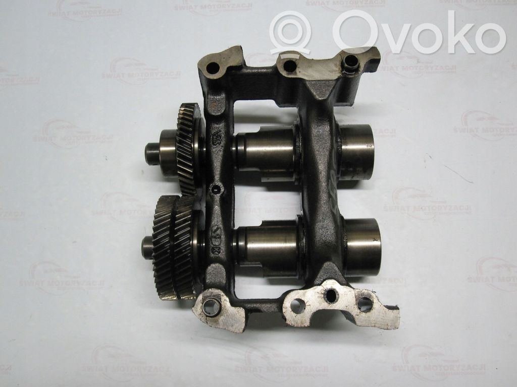 Nissan Qashqai+2 Eje de equilibrio 