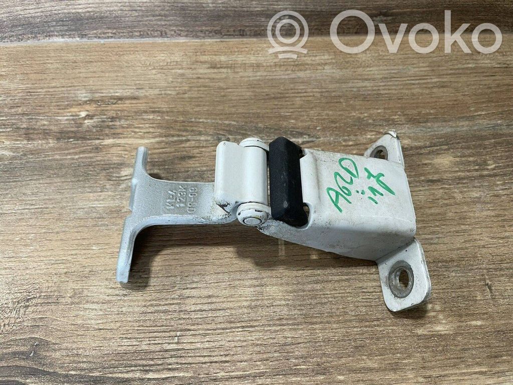 Renault Kangoo II Loading door lower hinge 
