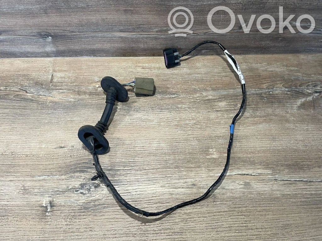 Smart ForFour I Cableado de puerta trasera 