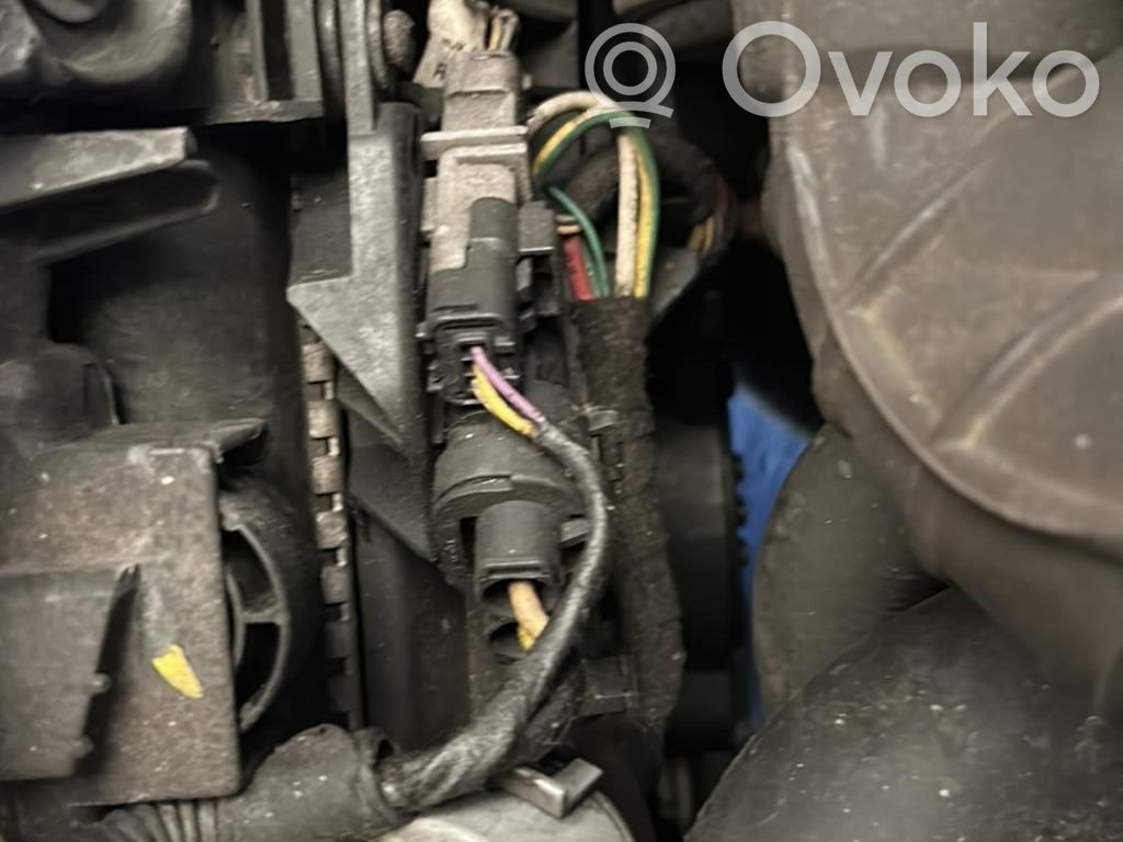 Peugeot 1007 Elektrisks radiatoru ventilators 