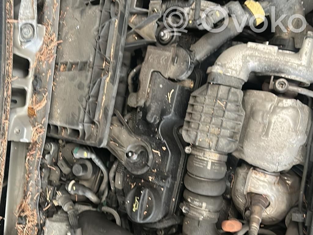 Motor   0135SW