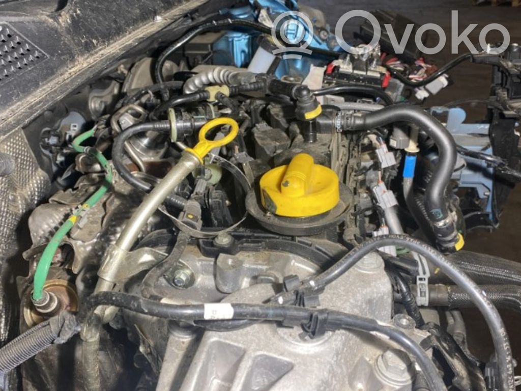 Renault Clio V Galvutė 