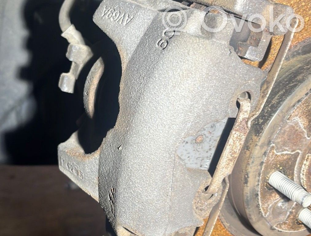 Etujarrusatula   T4N9756