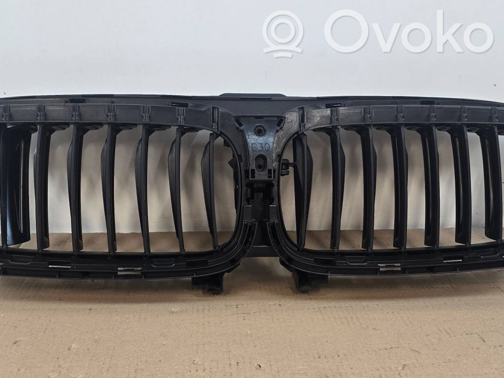 BMW 5 G30 G31 G38 Grilă radiator față 