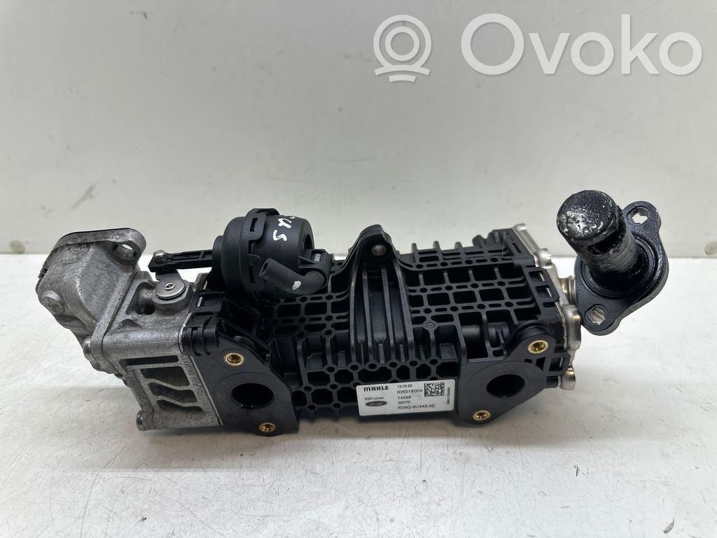 Ford Focus Refrigerador de la válvula EGR 