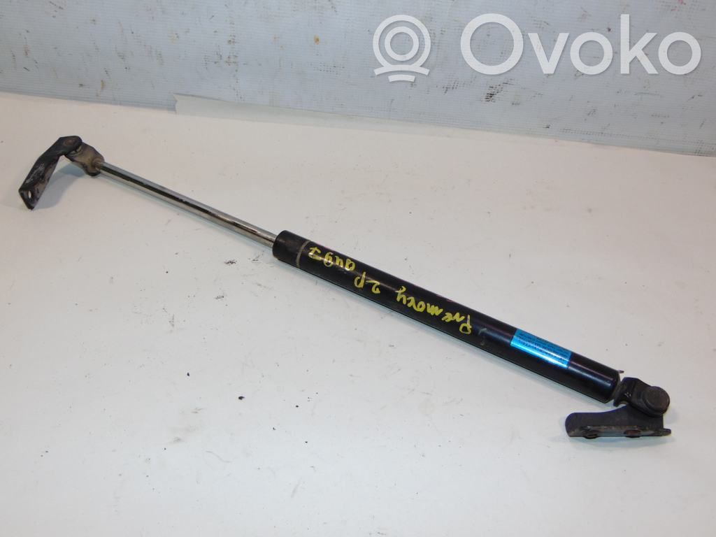 Tailgate/trunk strut/damper   C10062620D