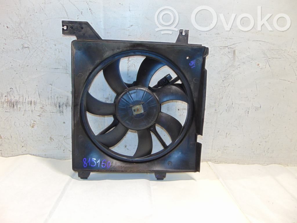 Elektryczny wentylator chłodnicy   253802C000,253862C000,253502D000