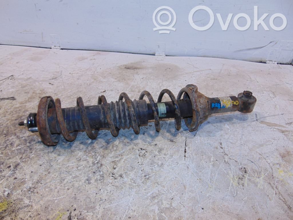 Amortyzator osi tylnej ze sprężyną   RPD102970,RKB101660,102950,22104368