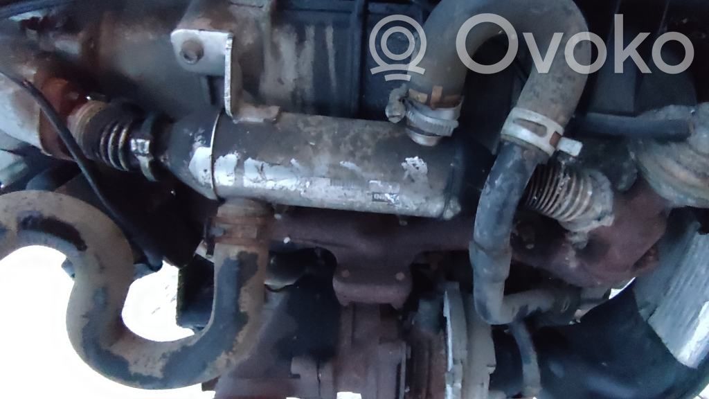 Peugeot 307 EGR aušintuvas 