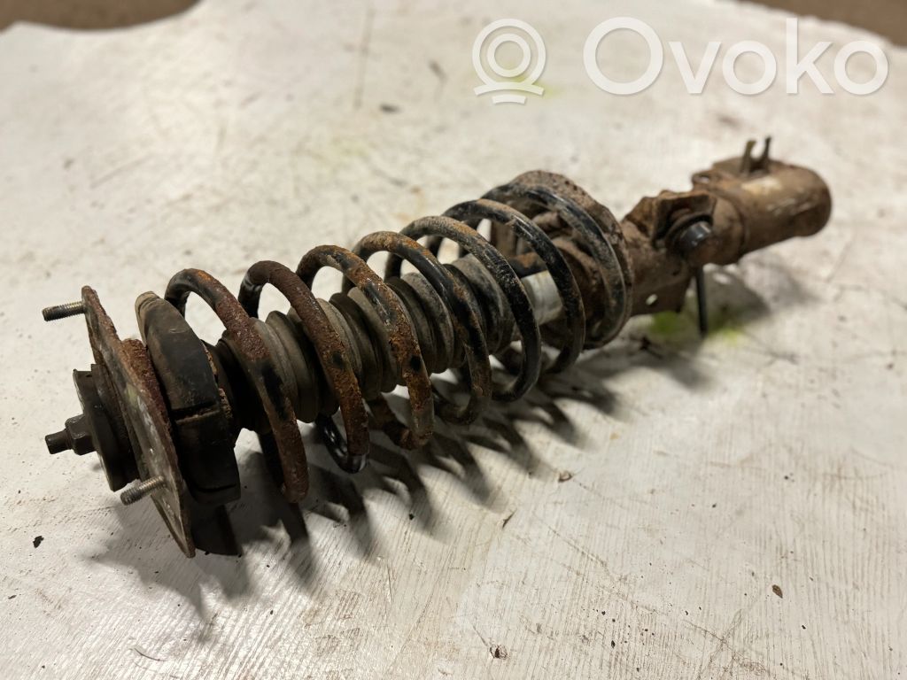 Amortyzator osi przedniej ze sprężyną   9173850,8612887