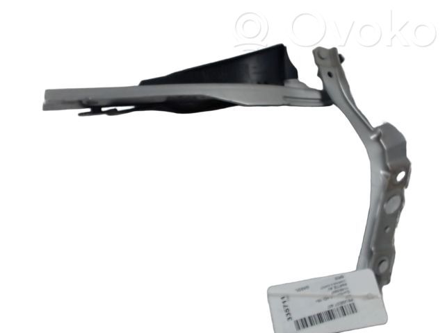 Peugeot 407 Cerniere del vano motore/cofano 