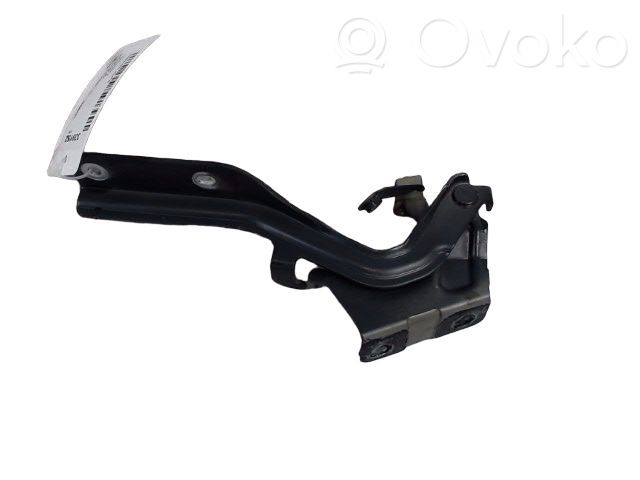 Nissan Juke I F15 Cerniere del vano motore/cofano 