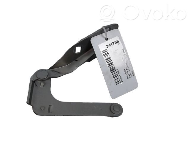 Ford C-MAX I Engine bonnet/hood hinges 