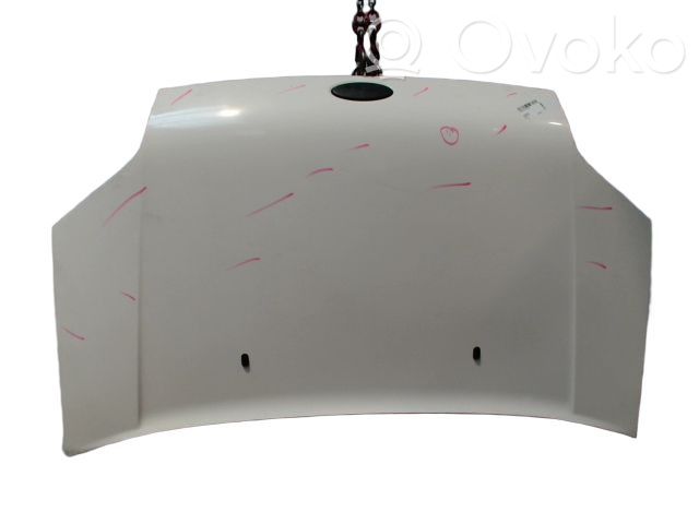 Ford Transit -  Tourneo Connect Engine bonnet/hood 
