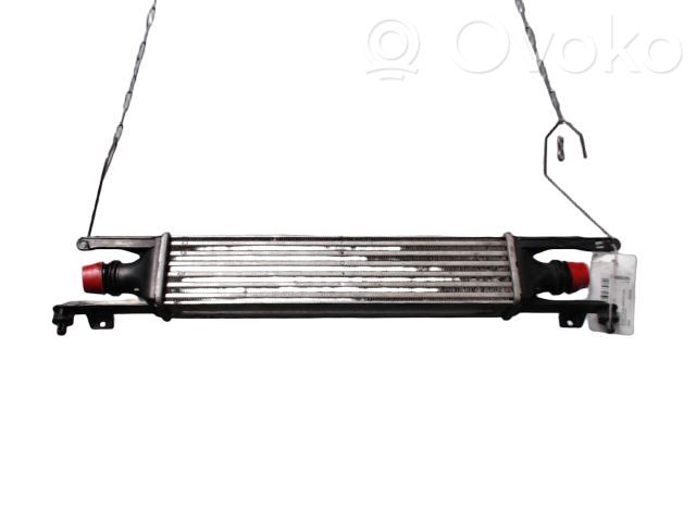 Intercooler radiator   55702004,000055702004,0370180011,07073014,1040169SX,104410,157018N,2066507,212645,30778,345600,351319201620,351319201623,37004420,4126928,5024304420,51837369,55700449,55702004,55702194,6302078,6302080,721019,8ML376755731,96589,ARD3463,DAX010TT,DIT20001,OL4420,OLA4420,PRD3463,RA8200930,WG1724064,WG1735768