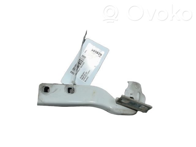 Peugeot Boxer Cerniere del vano motore/cofano 