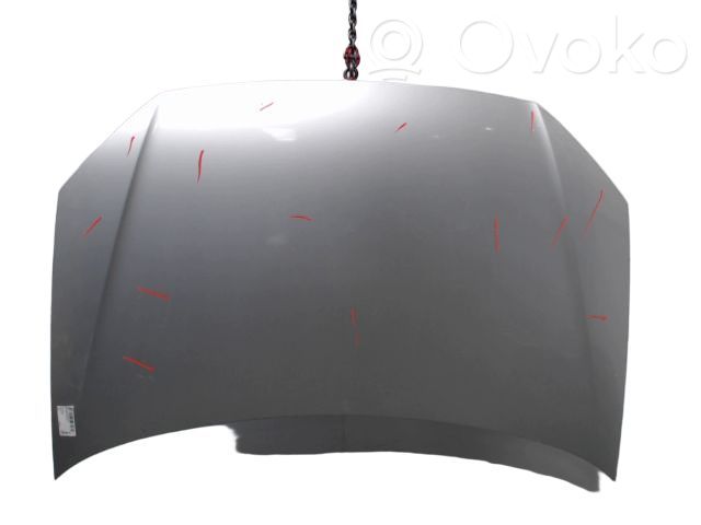 Volkswagen Polo IV 9N3 Engine bonnet/hood 