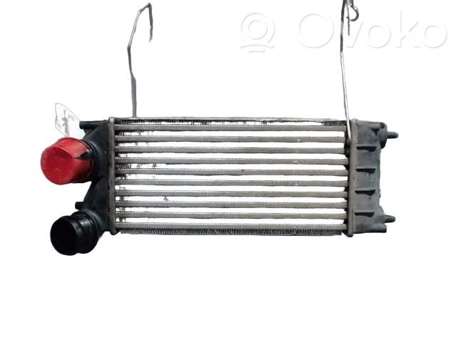Interkūlerio radiatorius   0384N9,0090180009,0090180010,0090180012,0384F6,0384G4,0384L9,0384N9,067008N,07033015,105528,2066557,30281,351319200213,40004343,706032,807M39A,9636635380,9684212480,9800291280,ARD3502,PE4343,PEA4343,PRD3502,WG1723842