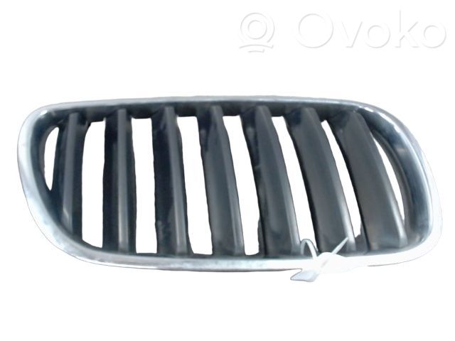 BMW X3 E83 Grilă radiator față 