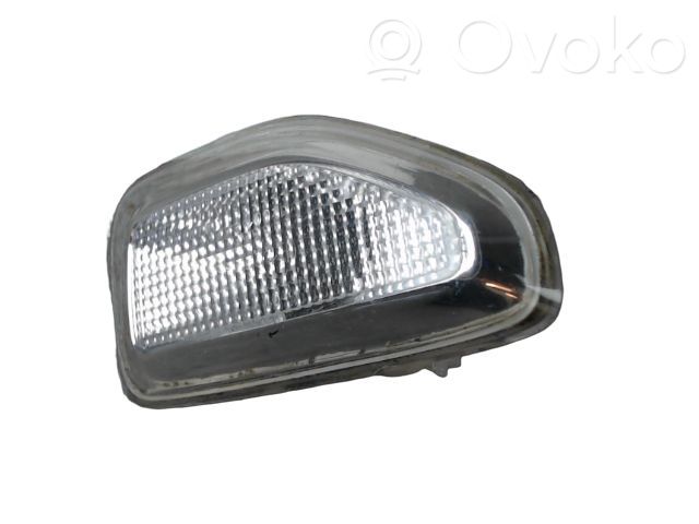 Dacia Sandero II Seitenblinker 
