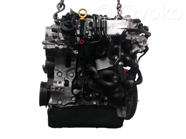 Variklis   04L100091E,04L100091E,DCYA