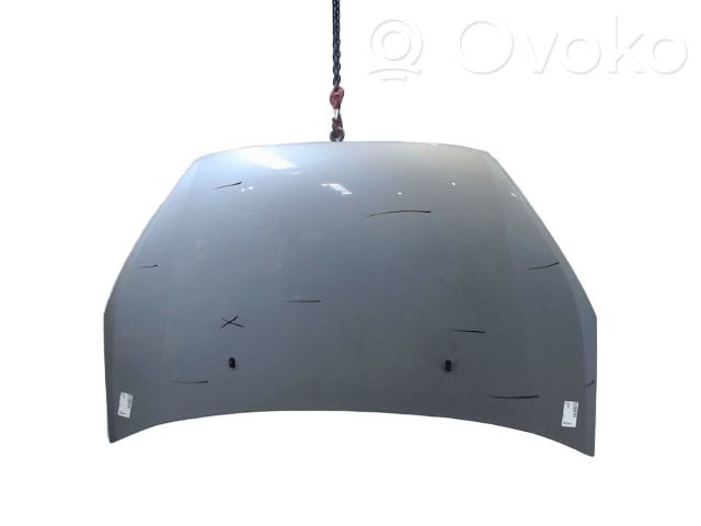 Dzinēja pārsegs (vāks)   1569486,01737100,05031567,1417462,1485000,1485592,1505774,1569486,1887660,FD7303100