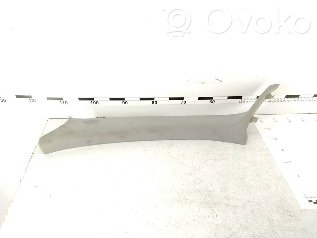 (A) pillar trim   17491511,2990773,1062490000